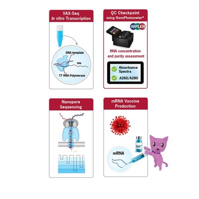 Upstream QC using the Implen NanoPhotometer®