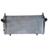 Peugeot 407 2.7  HDI  04-10    hladnjak zraka -intercooler    9646300980  D1386007