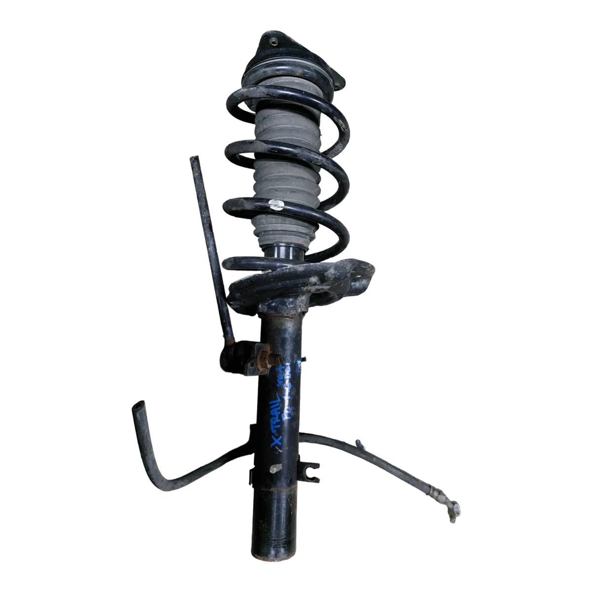 Nissan X-Trail  1.6 DCI  13-22 amortizer prednji desni