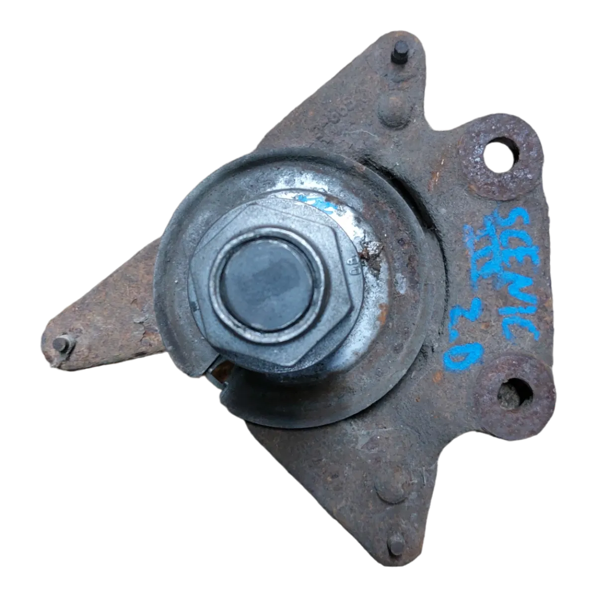 Renault Scenic III  08-15  rukavac zadnji D    osovina 30mm