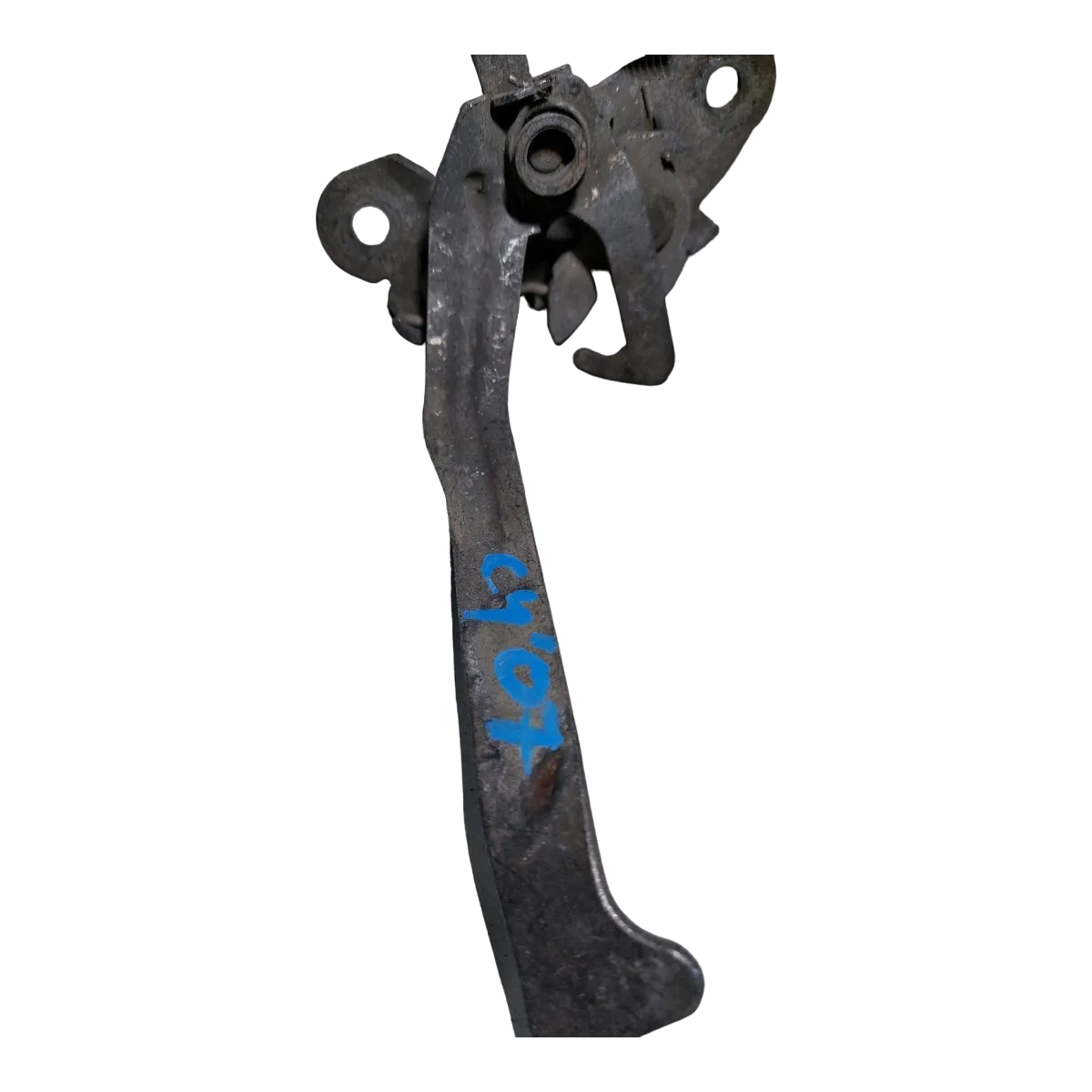 Citroen C4   05-10   brava prednje haube 7934C3