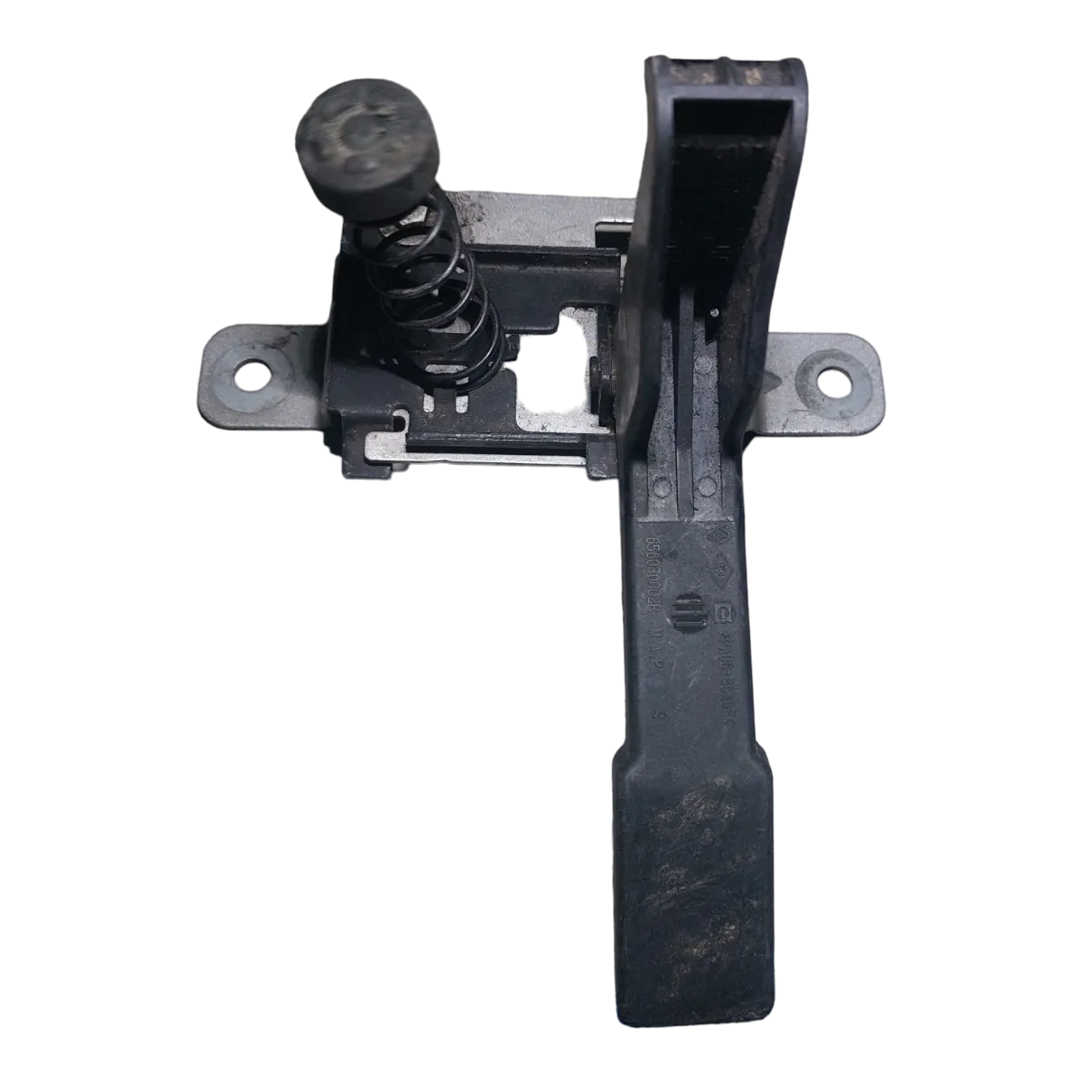 Renault Scenic III  08-15 brava prednje haube    651300006R