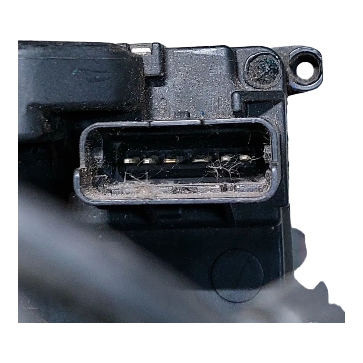 Renault Laguna II 00-07  brava vrata zadnja  desna   ZD  6-pinova   825000003R