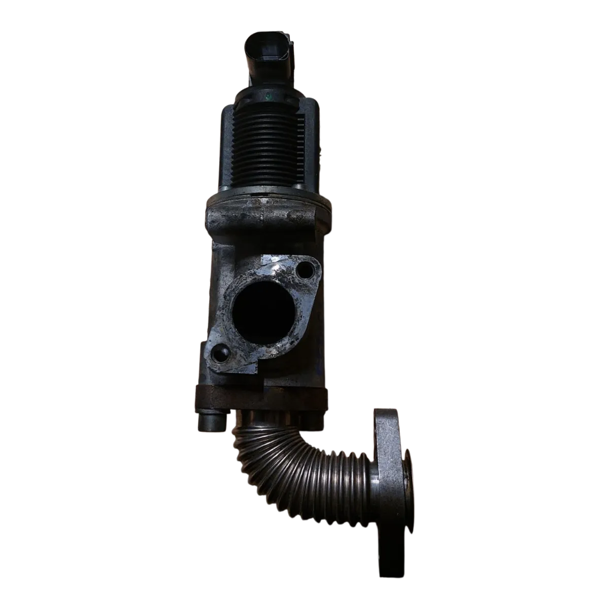 Fiat   Sedici   1.9  M-jet  06-14     EGR ventil  55215032   55186214 55194734  55204249  55205455  50024005