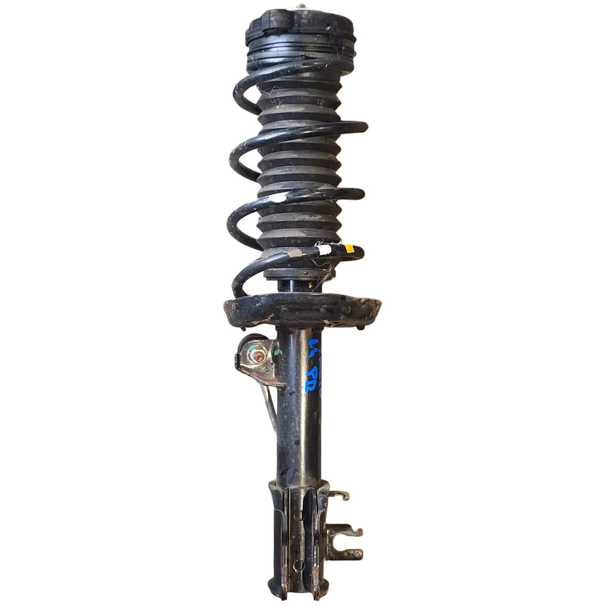 Fiat Palio II  1.4i  11-   amortizer prednji desni    51959684  GP33038