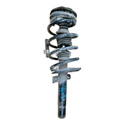 Renault Megane  II  1.9 DCI 02-08 amortizer prednji L+D