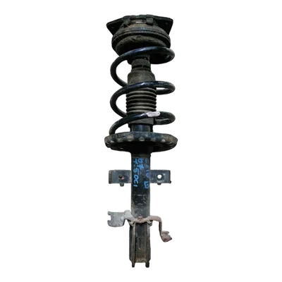 Renault Clio III 1.5 DCI  05-12 amortizer prednji L+D  b