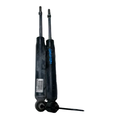 Nissan Qashqai  13-21  amortizer zadnji L+D