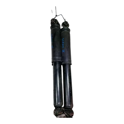 Renault Scenic IV   16-      amortizer prednji L+D