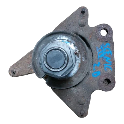 Renault Scenic III  08-15  rukavac zadnji D    osovina 30mm