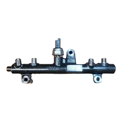 Citroen  C5 III X7 2.0 HDI  08-     rampa goriva  9681909680-03   28497Z01