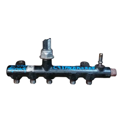 Citroen C4 Picasso Space Tourer  2.0 HDI 14-22   rampa goriva  9674300080