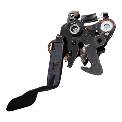 Peugeot 407  04-10   brava prednje haube   7934 74