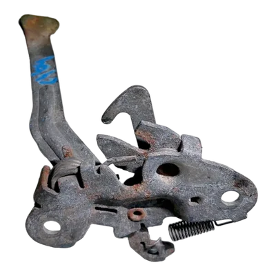 Citroen C4   05-10   brava prednje haube  7934C3