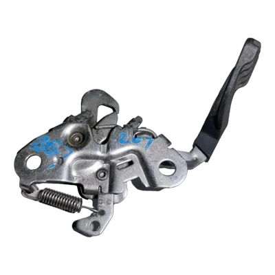 Peugeot 207  07-13  brava prednje haube   9652427480