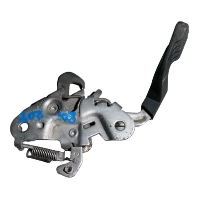 Peugeot 207  07-13  brava prednje haube   9652427480