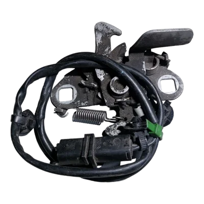 Peugeot 607   99-10   brava prednje haube  2-pina  793454