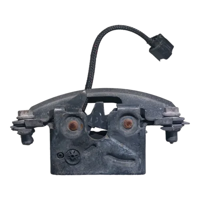 Renault Scenic III   08-15   brava  prednje haube  2-pina  656010010R