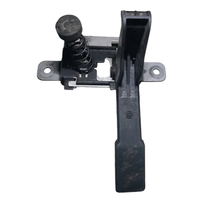 Renault Scenic III  08-15 brava prednje haube    651300006R