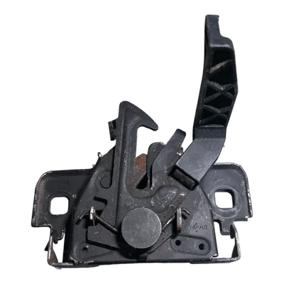 Dacia Sandero  II 12-     brava prednje haube    656017676R