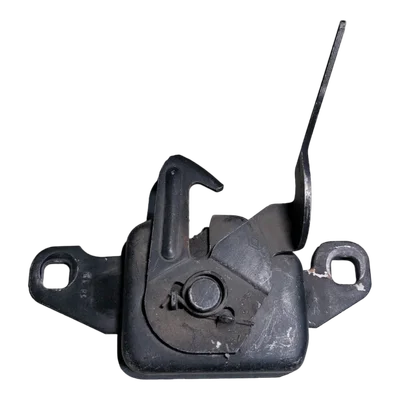 Renault Twingo II    07-14      brava  prednje haube   8200654602