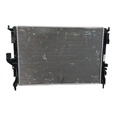 Dacia Sandero II 1.5 DCI  12-    hladnjak vode- killer  8200735039  B1502003