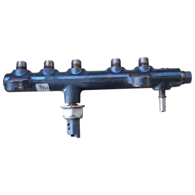 Peugeot  Expert IV 2.0 HDI 16-    rampa goriva   9674300080