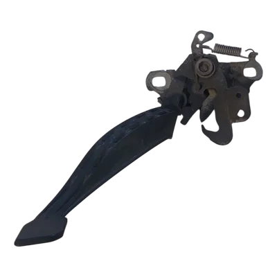 Citroen C4 B7 10-18 brava prednje haube 9687538080