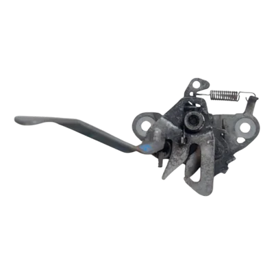 Citroen C4 Picasso 05-10 brava prednje haube 793492