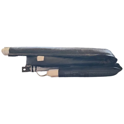 Renault Scenic III  08-15   zračna zavjesa desna    985P06123R