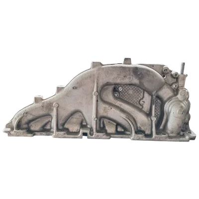 Renault  Scenic III 1.6 DCI   usisna grana    140031243R