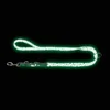 HUNTER POVODAC CONVENIENCE GLOW - leo print