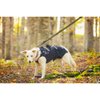 4 Season Elastic Leash