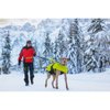 4 Season Elastic Leash
