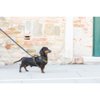 4 Season Power Harness