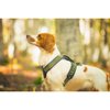 4 Season Power Harness