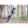 4 Season Power Harness