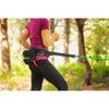 Carabiner CaniX Belt