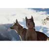 Sleddog Collar Reflex Click