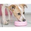 KONG igračka za pse Puppy Tyres M/L