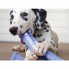 KONG Signature Crunch Rope Double Puppy M/L