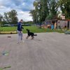 INDIVIDUALNI SAT SA TRENEROM PASA