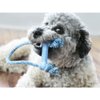KONG igračka za pse Puppy Goodie Bone w/Rope XS