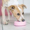 KONG igračka za pse Puppy Tyres S