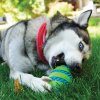 KONG igračka za pse Squeezz Gomz Ball Medium