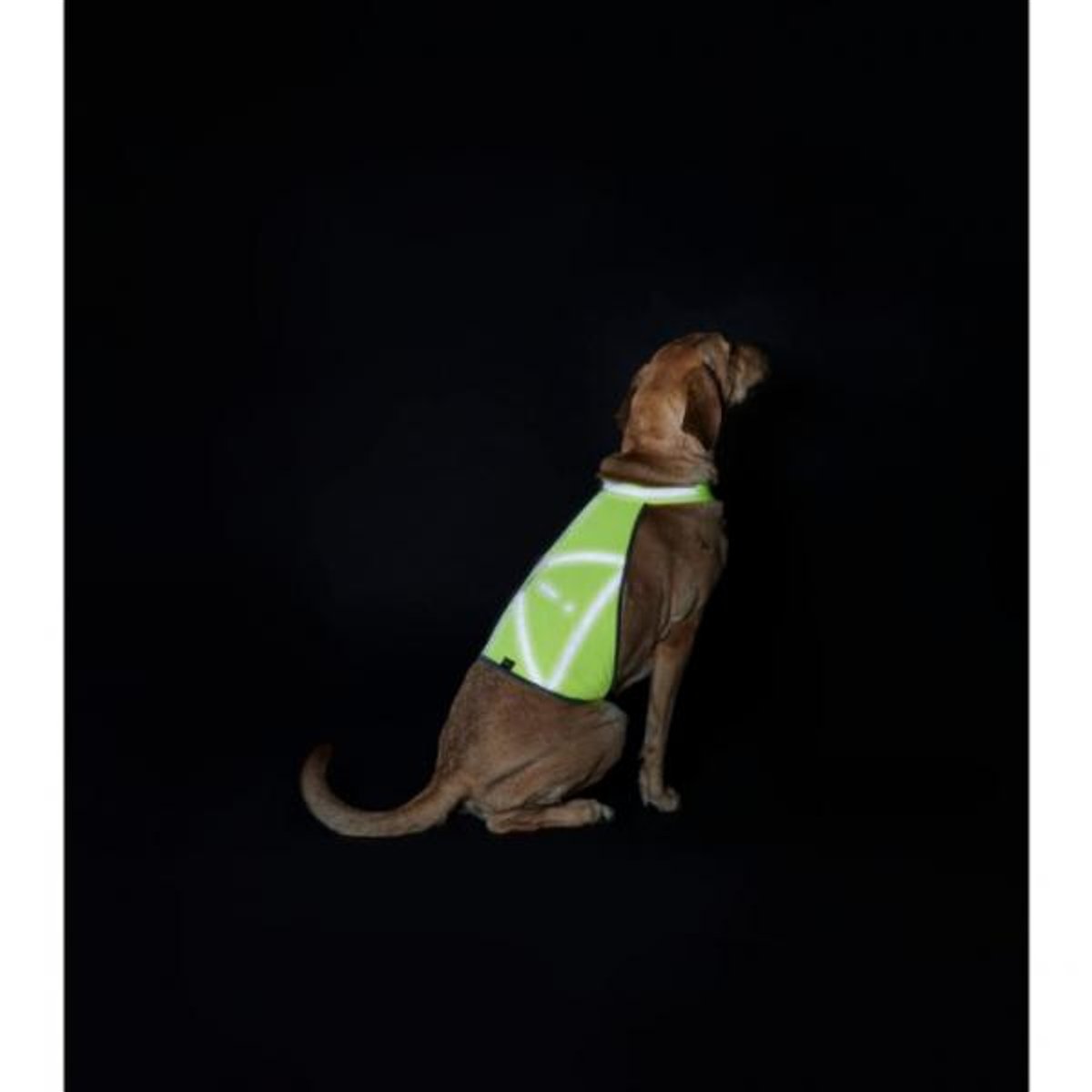 VEST HIGH VISIBILITY YELLOW L