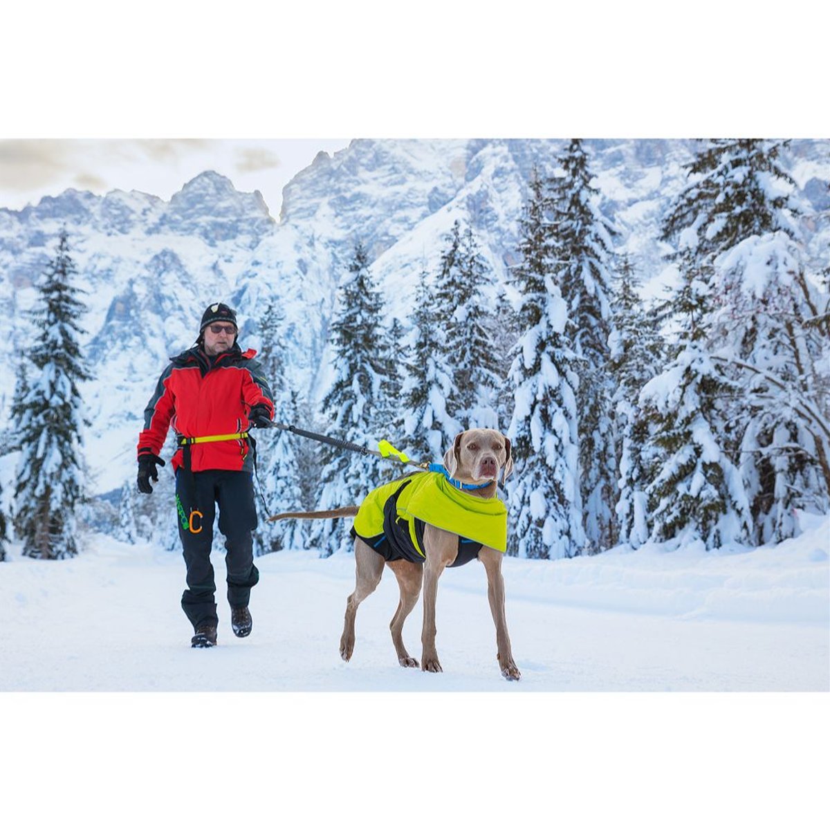 4 Season Elastic Leash