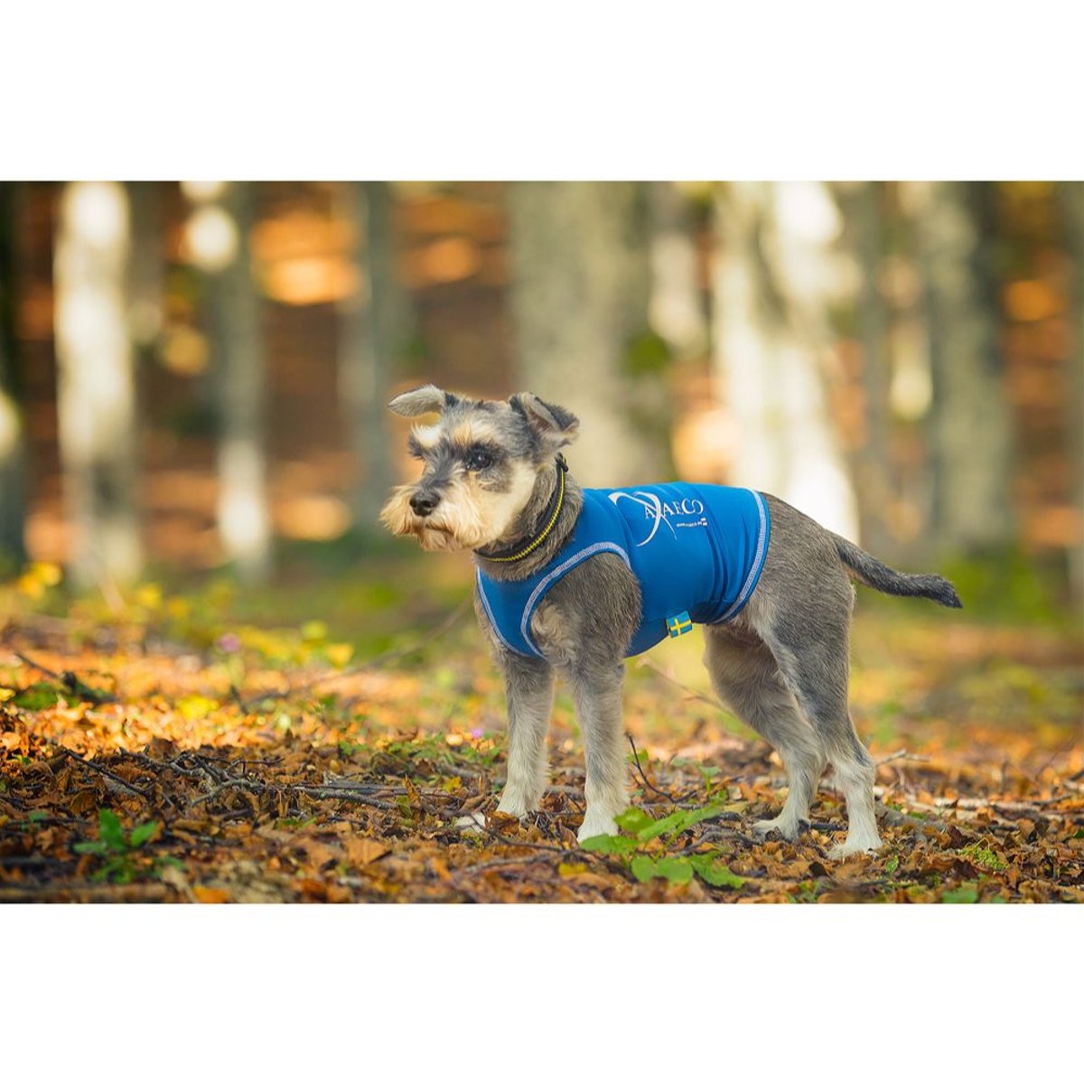 All-Rounder Vest - Royal Blue
