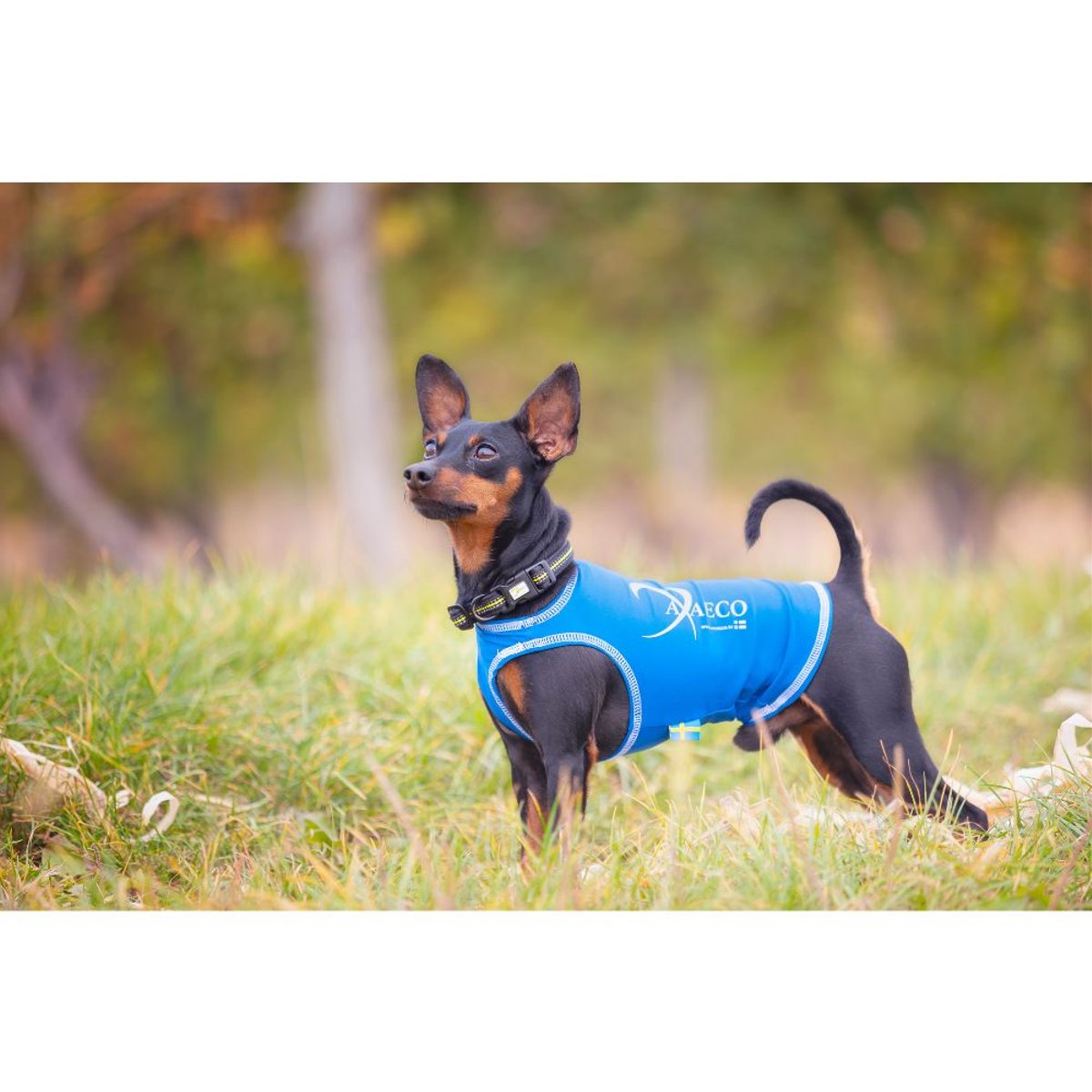 All-Rounder Vest - Royal Blue