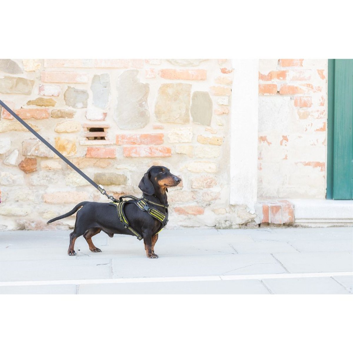 4 Season Power Harness